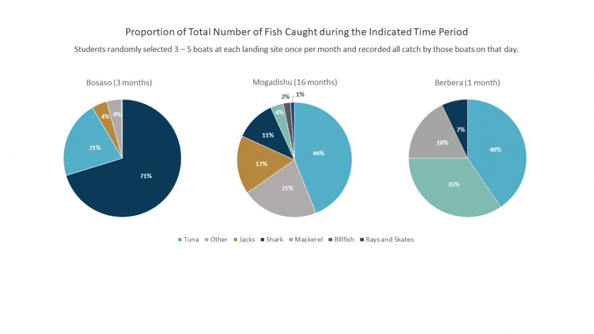 fish catch march 2020