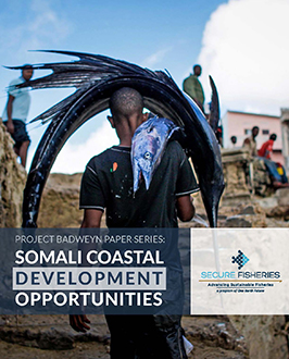 Somali Coastal Development