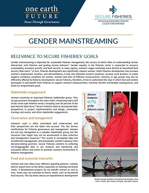 thumbnail Gender mainstreaming