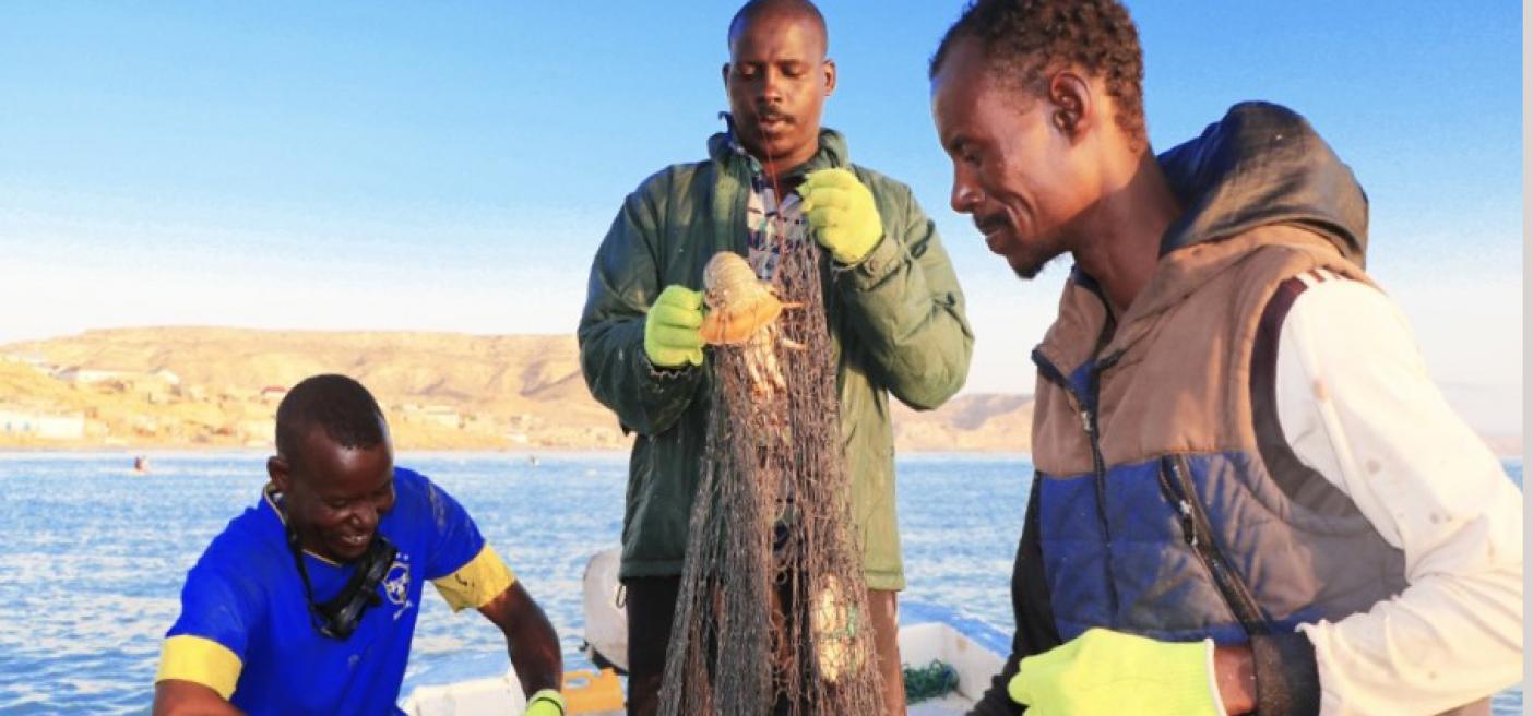 Partnership Somali fishers coastal communities Secure Fisheries Future of Fish