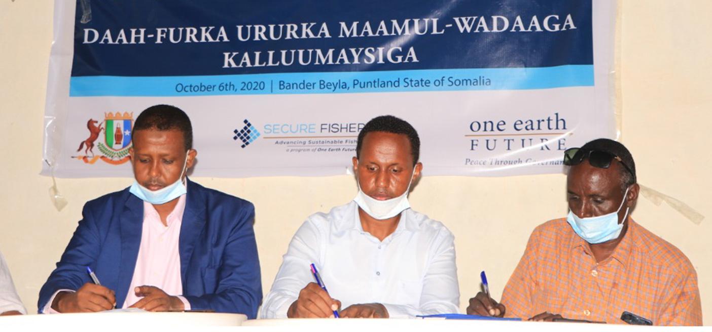 Bander Bayla co-management agreement
