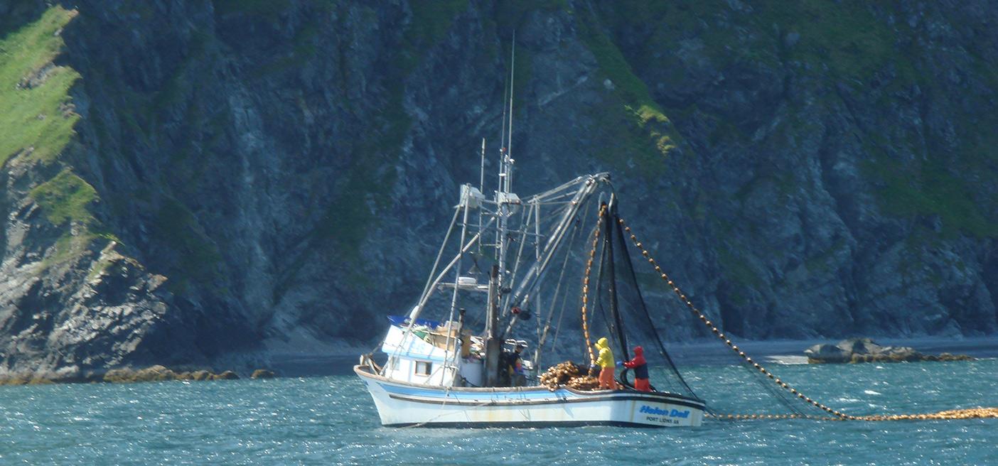 Coast of Alaska