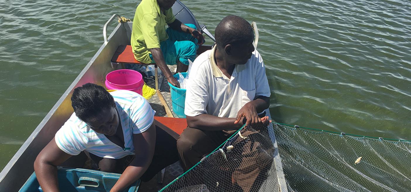 fish study lake victoria