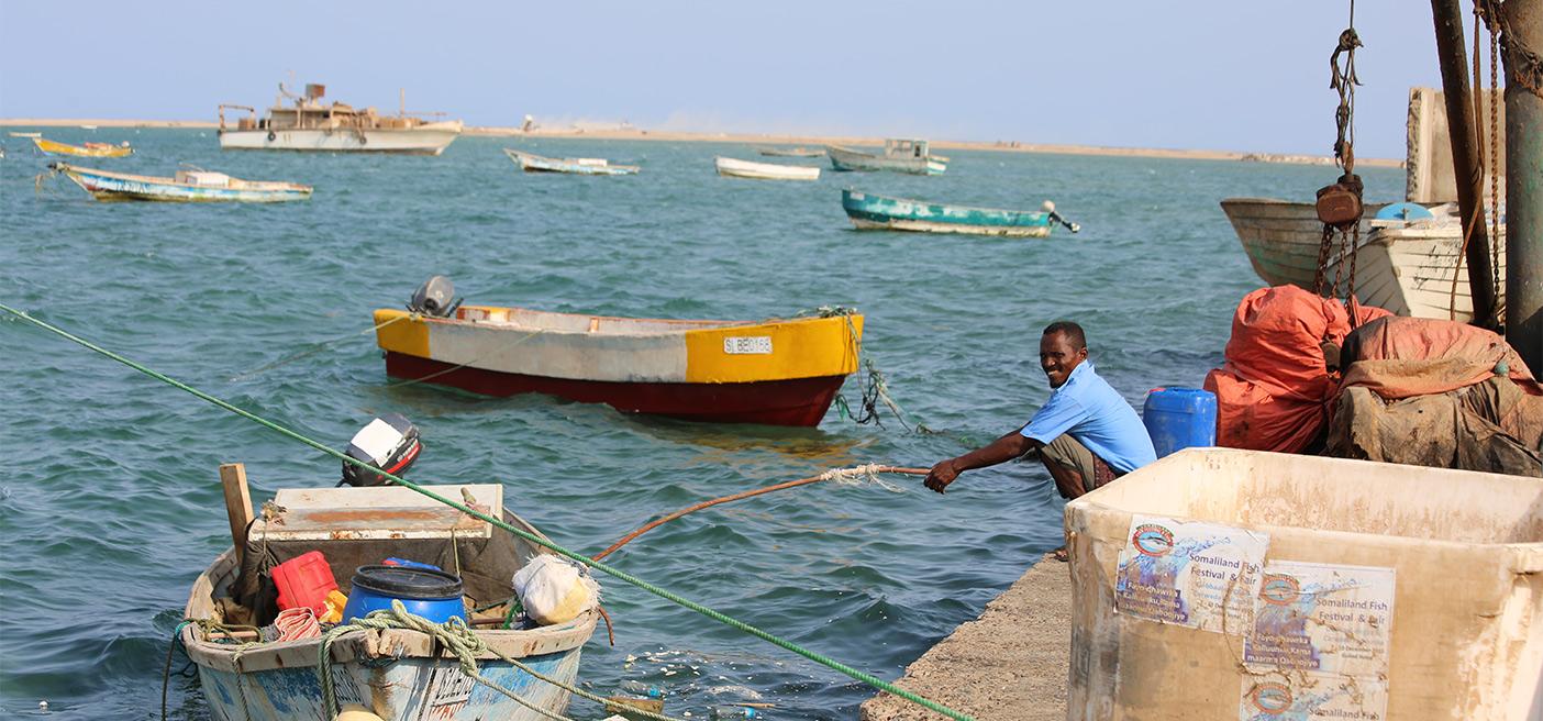 International Fisheries Day