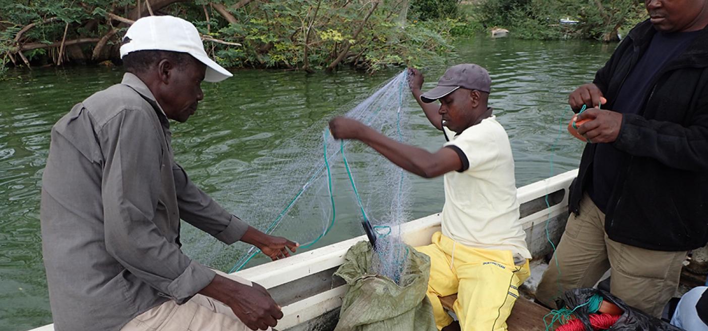Researching future of Lake Victoria fisheries