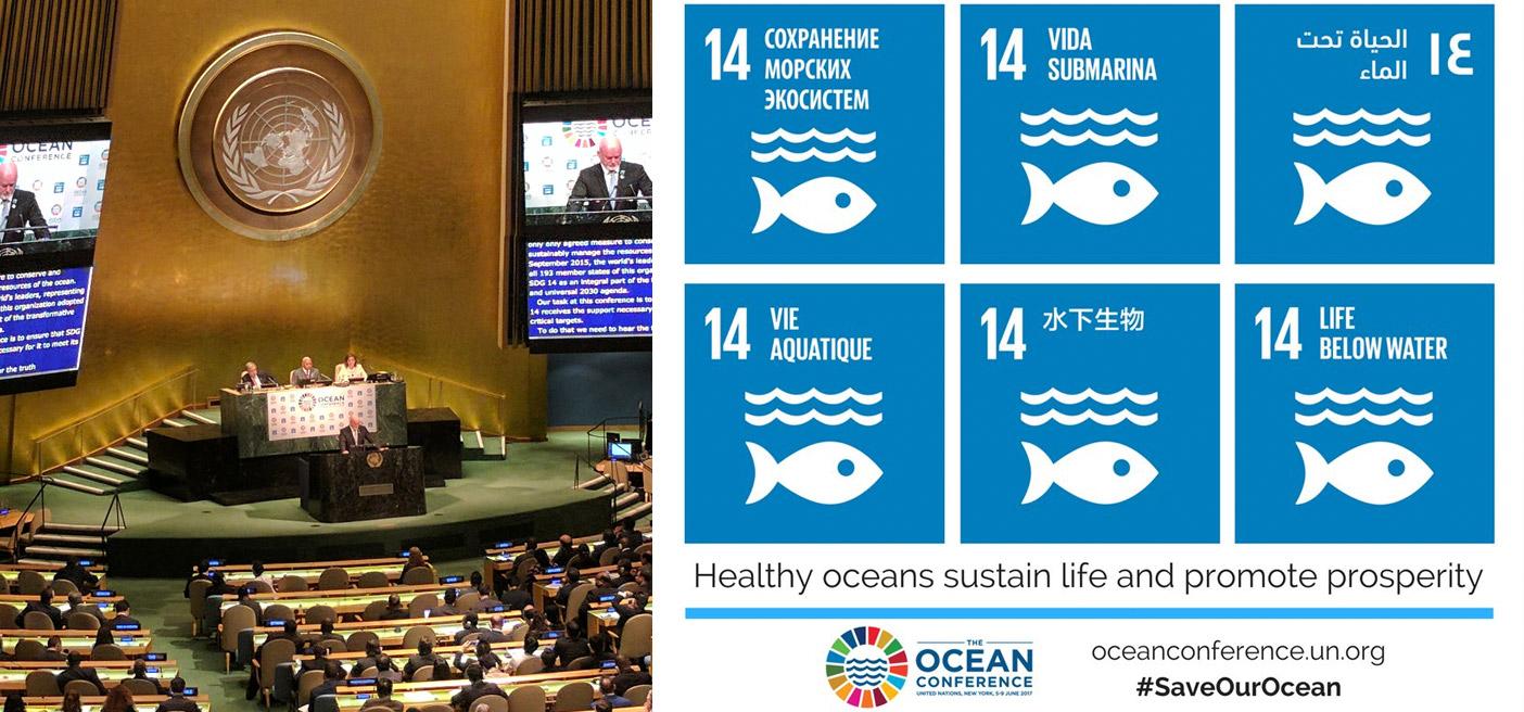 Oceans Conference 2017 UN