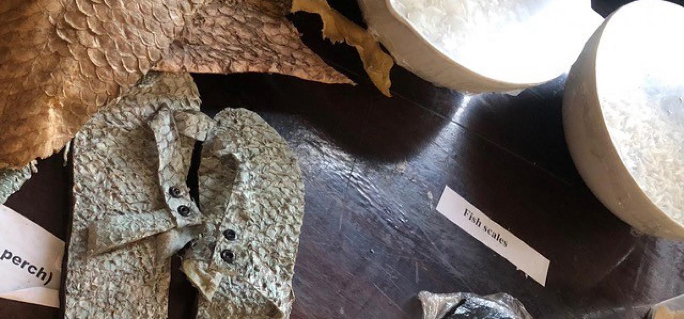 fish scales reuse