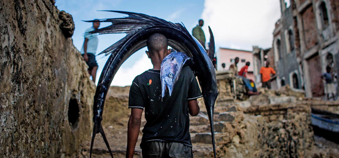 somali coastal development opportunities fisheries