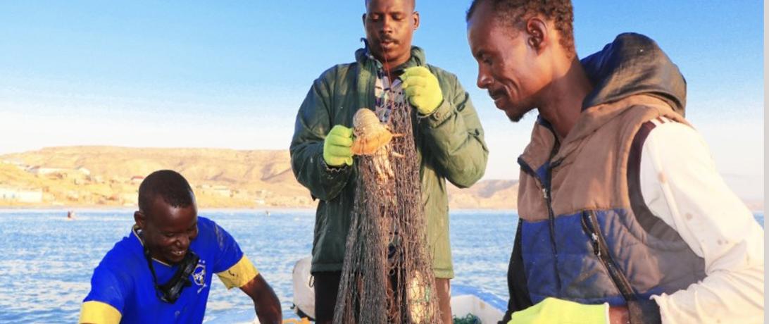 Partnership Somali fishers coastal communities Secure Fisheries Future of Fish