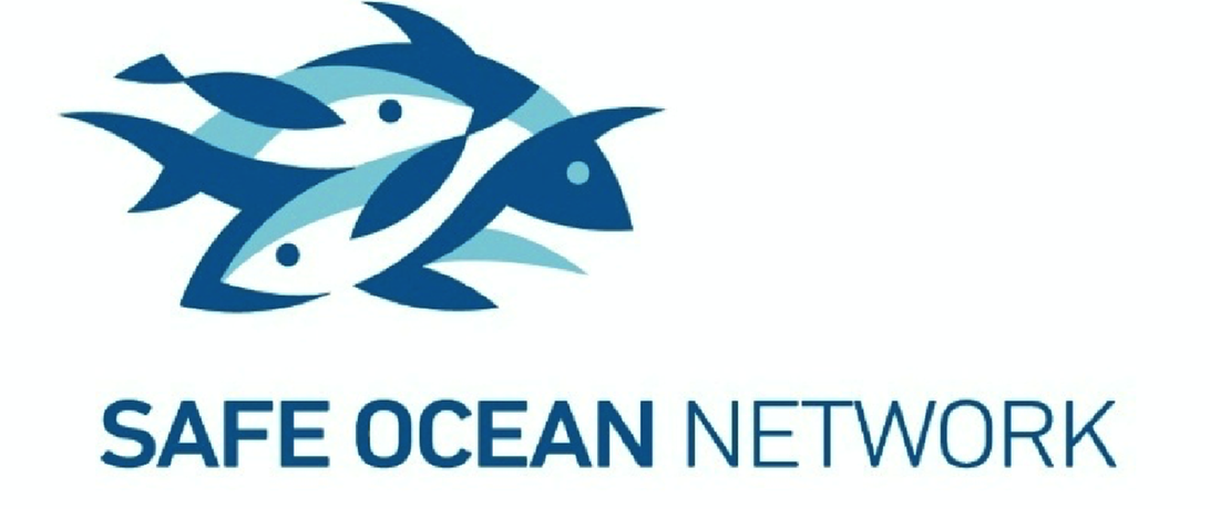 Safe ocean network image