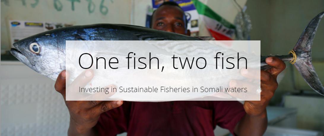 Sustainable fisheries Somalia