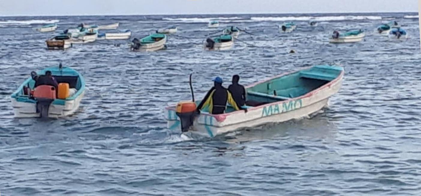 Somali fishers future
