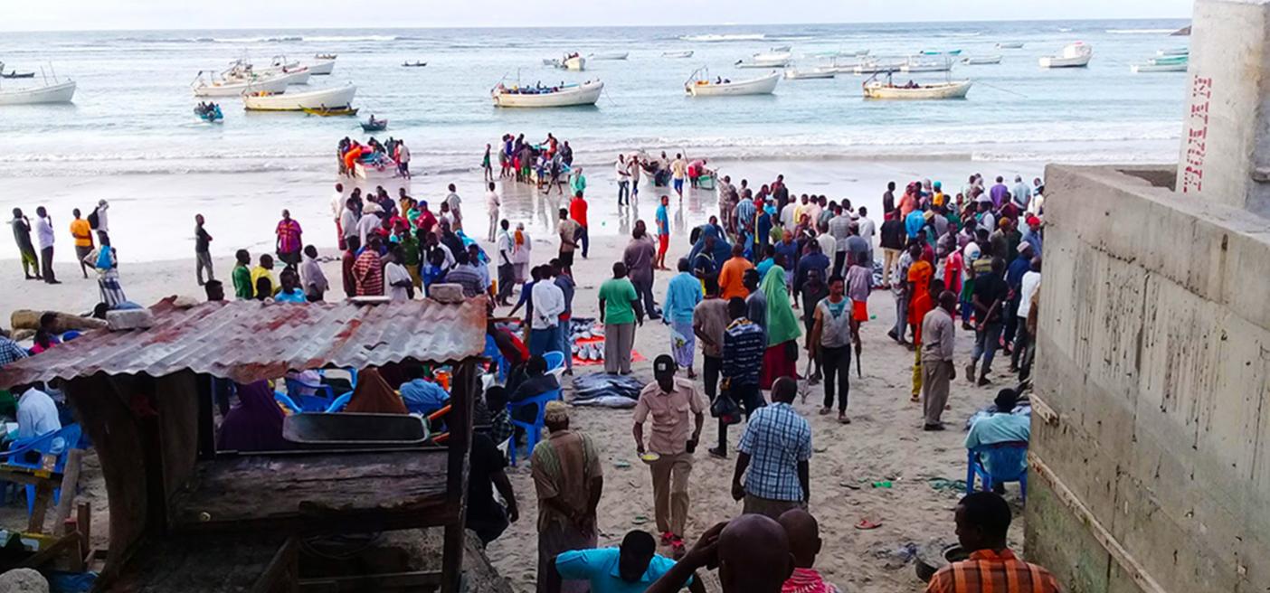 Fish catch data collection Somalia Lido Beach