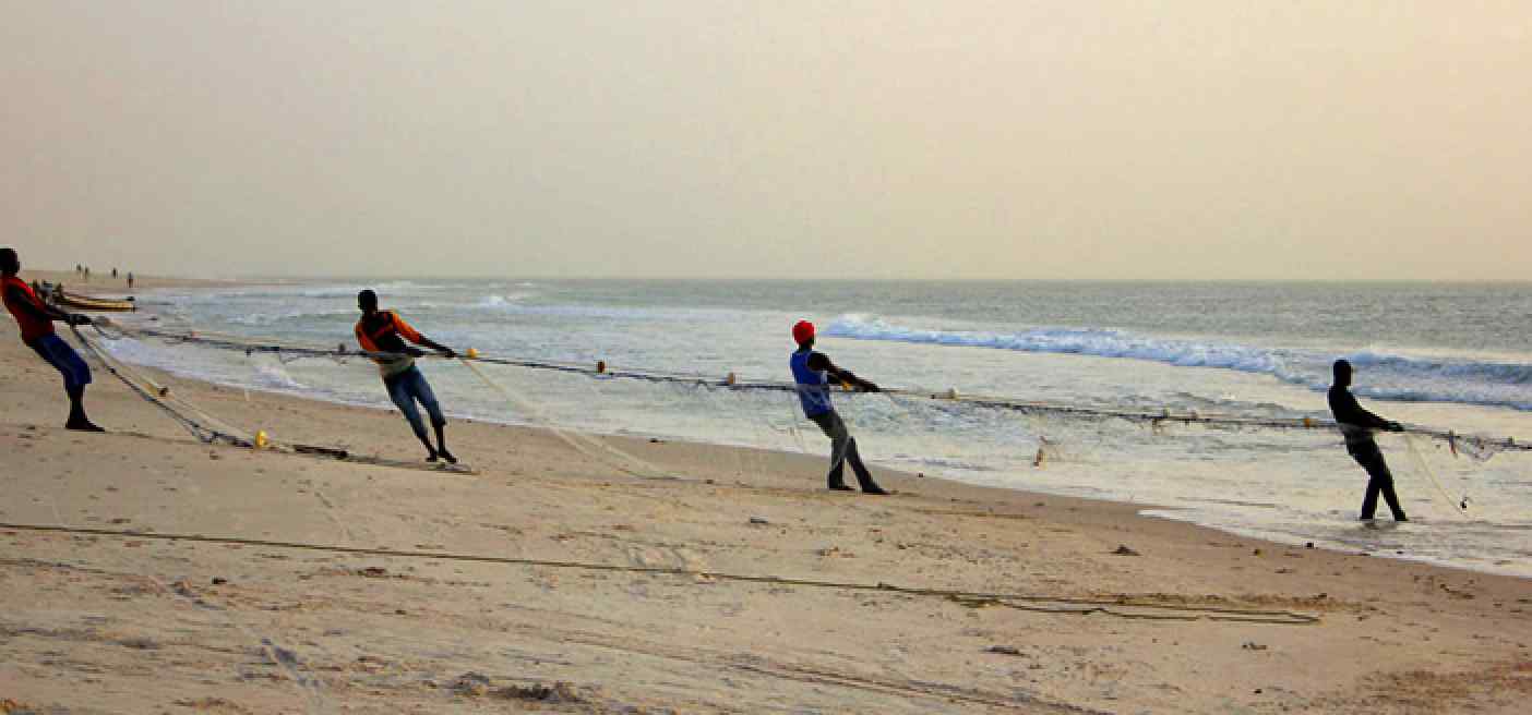 Fishing from beach with net