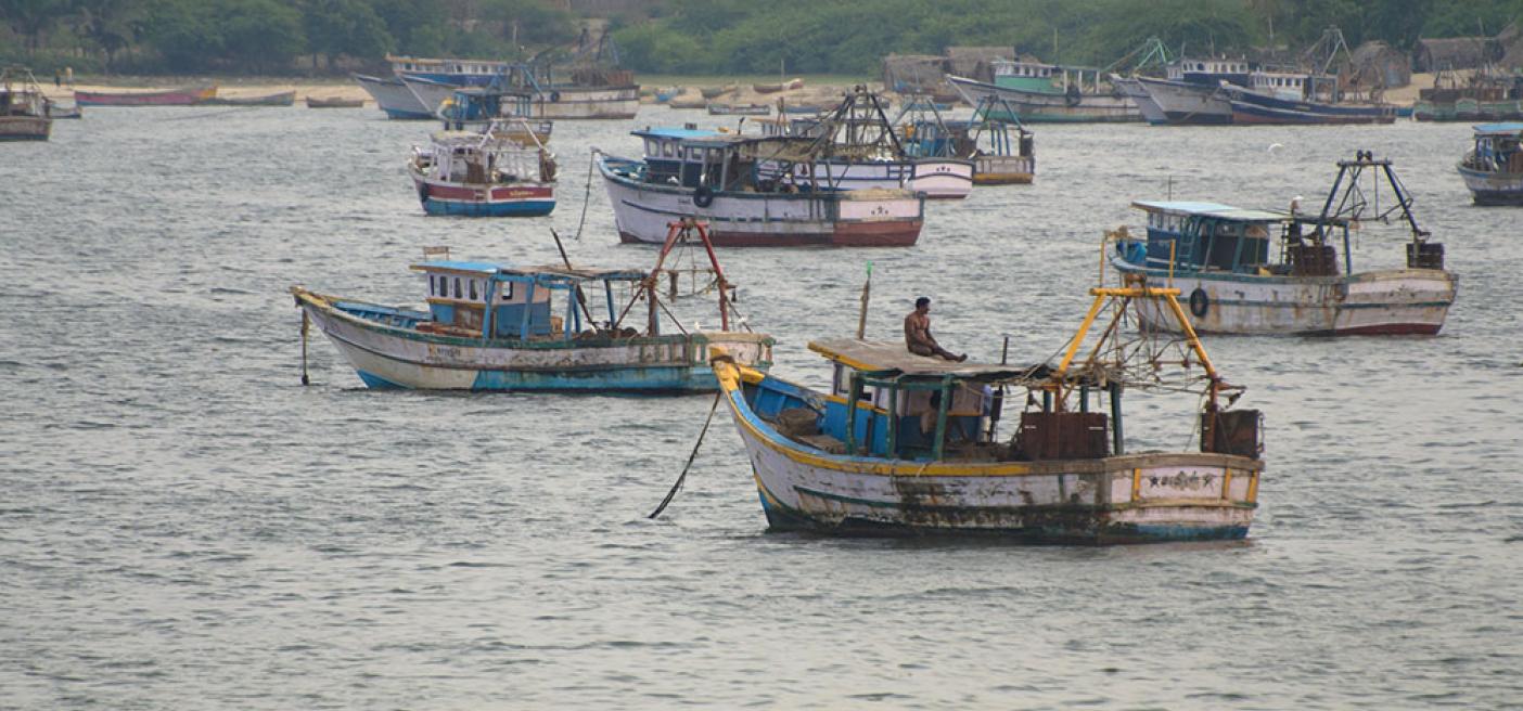 Violence in Fisheries