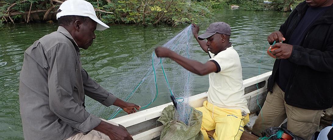 Researching future of Lake Victoria fisheries
